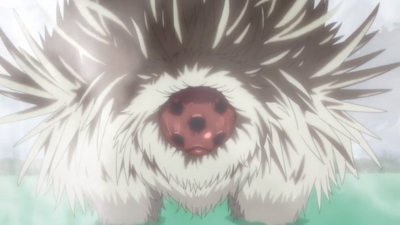 The loveable “Orby”. If you value your limbs, don’t pet him.